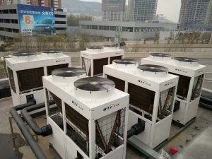 �I(l��ng)��tľ�(xi��ng)Ŀ